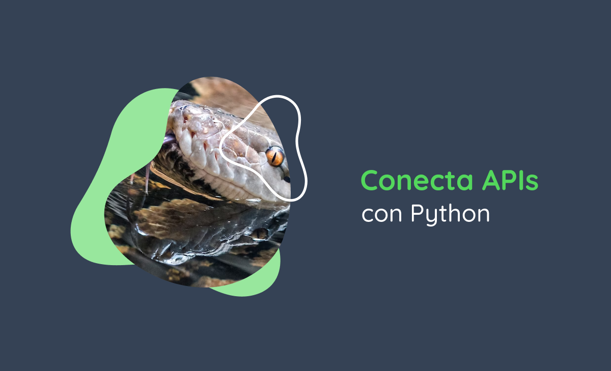 Conecta APIs con Python