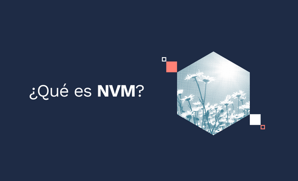 ¿Qué es NVM?