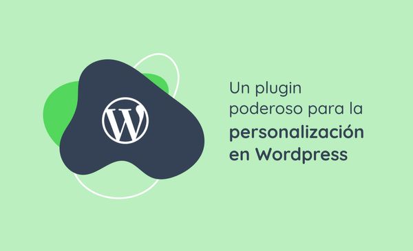 Un plugin poderoso para la personalización en Wordpress