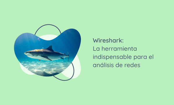 Wireshark: La herramienta indispensable para el análisis de redes