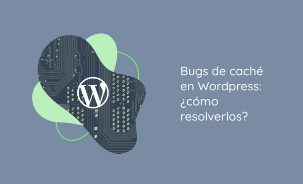 Bugs de caché en Wordpress: ¿cómo resolverlos?